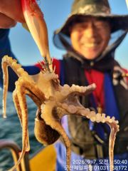 ●군산제일호 쭈꾸미실시간 잘나옴. 낼정상출항해요●