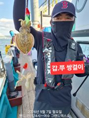 오늘도 달리는중입니다~~~어제에이어 더블 쌍쌍걸이도 나와주고~~~~~내일자리널널