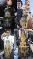[진해] 팁런무늬무니무니!!오늘 달립니다!!예약가능