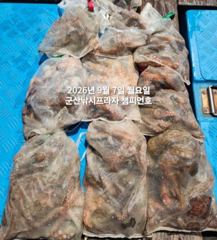7일,주간 왕문어 평균 싸이즈 부쩍커졌다~진짜 해볼만 합니다~1…