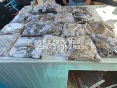 7일, 군산쭈꾸미~갑오징어는 보너스~점점 좋아지는 쭈구미조황~~…