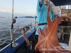 "여밭돌문어"계속3자릿수 800g700g600g덩치들이~13수12수 부터 전원마릿수조황~(예약가능)