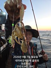 군산 대호피싱 쭈꾸미와 문어 그리고갑오징어