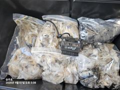 조황정보 - 삼길포 승주호 9/7 승주호 쭈꾸미ㆍ갑오징어 조황 - 삼길포 씨유만석낚시
