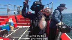 루어파이터호-9/7 월 [2물] 쭈꾸미/갑오징어 조항 입니다.
