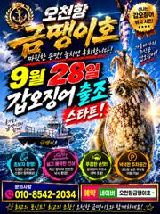 오늘의 조황 - 오천항금땡이호 9월7일 쭈꾸미 갑오징어 조황 - 오천항 프랜드피싱