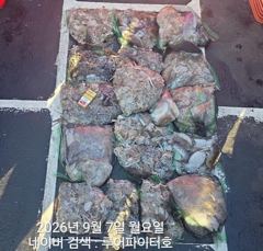 오늘의조황 - 9/7 월 [2물] 쭈꾸미/갑오징어 조항 입니다. - 루어파이터호