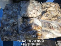 오늘의조황 - [홍원항 타이탄호] 9월7일(월) 괜찮게 나와준 쭈꾸미 조황 - 홍원항 블랙펄호,배낚시,바다낚시,광어 다운샷, 참돔 타이라바, 백조기, 주꾸미, 갑오징어, 우럭