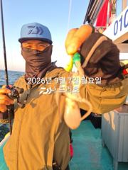 7일, 군산쭈꾸미~갑오징어도 같이~점점 좋아지는 쭈구미조황~실시간~군산낚시프라자 나드리호