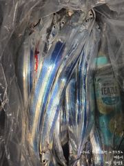 갈치한치조황++ - 11금 12토13일.. 먼바다 왕갈치 예약가능합니다