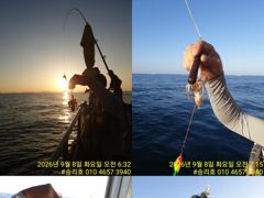 8일 승리호 쭈꾸미 실시간~씨알 굿~ 늦은 오후 자리있습니다