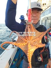 (西)서해조황 - 8일, 부쩍커졌다~ 군산 문어들~주간에 낚이는 문어들~제대로 나오고 있어요~실시간~내일도 출조합니다~~~군산 챔피언호