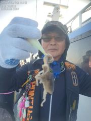 8일, 군산쭈꾸미~나오고 있어요~점점 좋아지는 쭈구미조황~실시간~군산낚시프라자 그랜드호