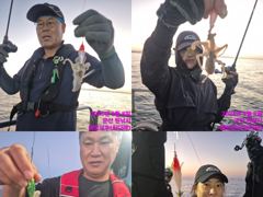 레인보우호 쭈꾸미 실시간 조황(8일)-내일 종일 자리있음