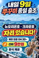 레인보우호 쭈꾸미 실시간 조황(8일)-내일종일자리있음