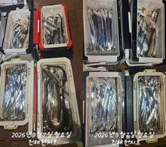 [진해] 내만갈치 씨알급 잡으로 출동합니다~~~~예약가능