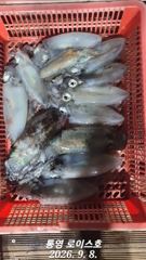 오늘 무늬가실분 ~