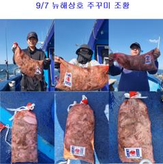 조황정보 - 9월 7일 주꾸미 조황 - 오천학성낚시,배,바다,선상 낚시