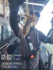 9월8일쭈꾸미조황입니다.