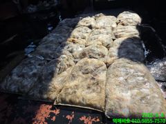 [군산] 군산 먹깨비호 낼 쭈꾸미 5분 모십니다