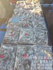 9/8오후 조황