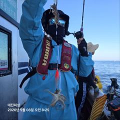 쭈.갑 먹물조황+ - 무창포 대진피싱 9월8일 쭈꾸미 조황입니다~