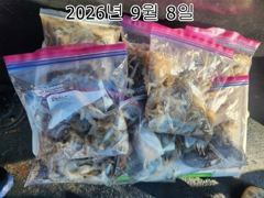 26년09월 08일 인천 은아3호 오전오후 시간배 체험낚시 조항입니다^^~