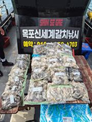 목포신세계피싱 쭈꾸미낚시200여수조과