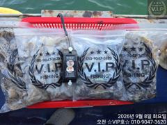 09월 08일 오천항VIP호 쭈꾸미&갑조황