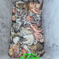 문어 마리수 대박 조황