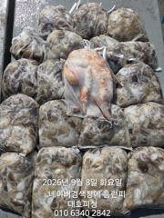 갈치한치조황++ - 군산 대호피싱 쭈꾸미야 문어야~~~