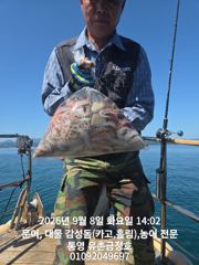 통영 금정호 오전문어선상 조황!! 주말 종일낚시 자리있습니다