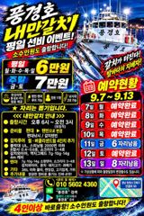 [진해] <내만갈치>선비 이벤트!3지급들 피딩! 마릿수 최신굳조황