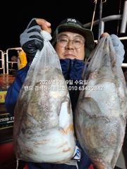 8일 홈런호 언제나 초대박조황 야간문어 마무리 조황 입니다