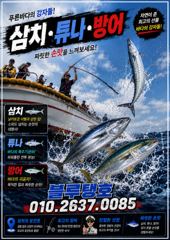 지속된 북동기류, 대삼치 포인트 상황! (금욜부터 출항 가능해요)