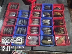 [팁런] 일인두자리수는 가뿐히,넘기고 (금,일요일출항확정)