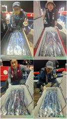 백도권!! 풍성한 갈치로 쿨러가득!!