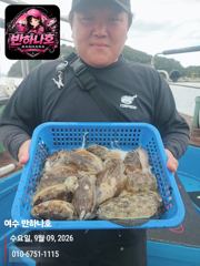[여수반하나호] 9일 갑오징어 조황~!11일 갑이종일반 점심포함 8만!