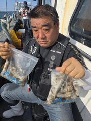오천용왕낚시 뉴청해호 쭈꾸미 조황입니다