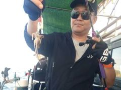 [사천] 쭈꾸미 마리수조황