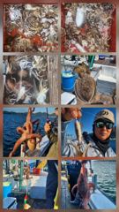 먼바다 갈치 ,쭈꾸미 갑돌이 출조 모집