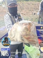 [사천] 9/9일 바람이 불어도 돌문어는 올라옵니다^^