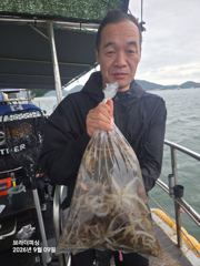 2026.9.9일 수요일 쭈꾸미 조황