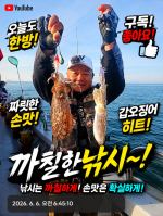 ☆골드스타호☆ 봄 갑오징어 조황 6월6일