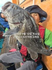 9일,날마다 쏟아지는 대광어~참돔,우럭등~오늘도 시작 굿~실시간…