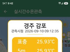 대삼치 캐스팅, 금욜부터 출항 가능해집니다!