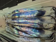 [고흥,녹동] 녹동금강호16석갈치14일15일쭉예약중.예약순자리지정예약제 010…