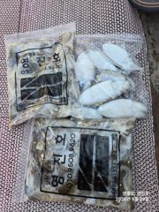 오늘의조황 - 9월9일 쭈꾸미~ 출조 조황입니다 - 영흥도 선상 루어낚시 전문 - 영진호