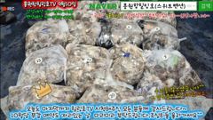 9월10일 홍원항힐링호 쭈갑 조황~!오늘은 몇분 빼시곤 처음 쭈갑낚시하시는분들이 많으셨네요^^잘 알려드리고 하니 생각보다 많이들 잡으셔서 놀라시네요 ㅋㅋ장원200수오바~