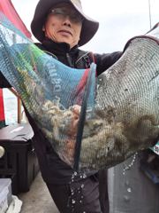 09월10일 주꾸미 조황(20명)